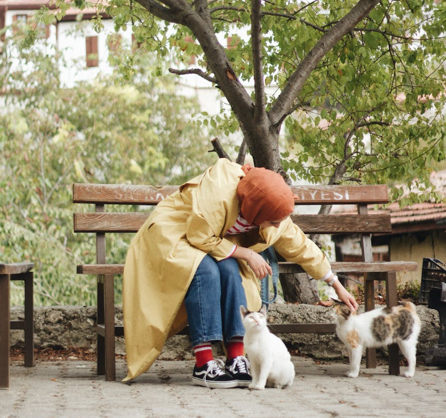 Cat Lady Blog - Donna con gatti seduta su una panchina