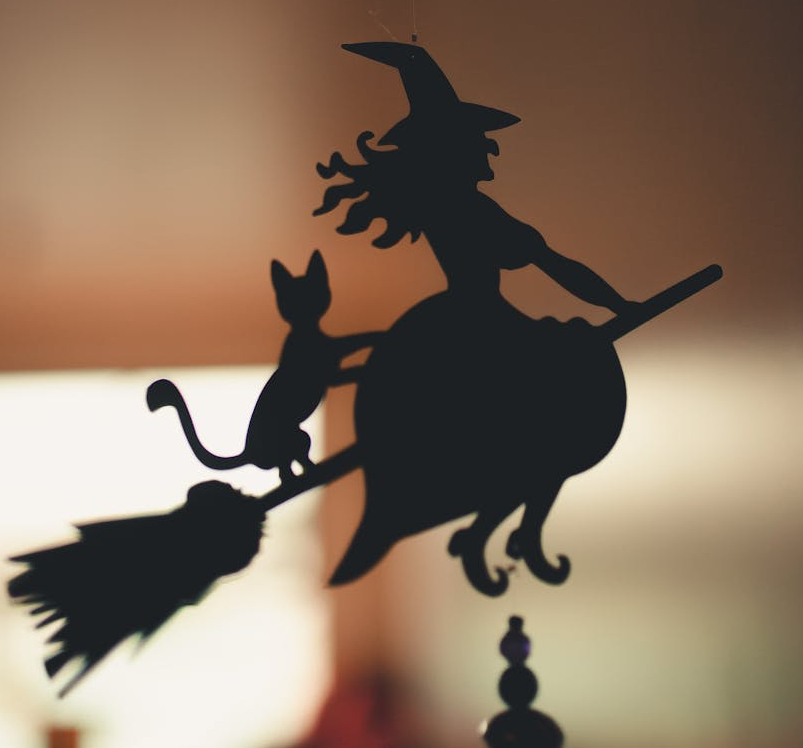 Il gatto veniva associato alla magia e alla donna in quanto strega.