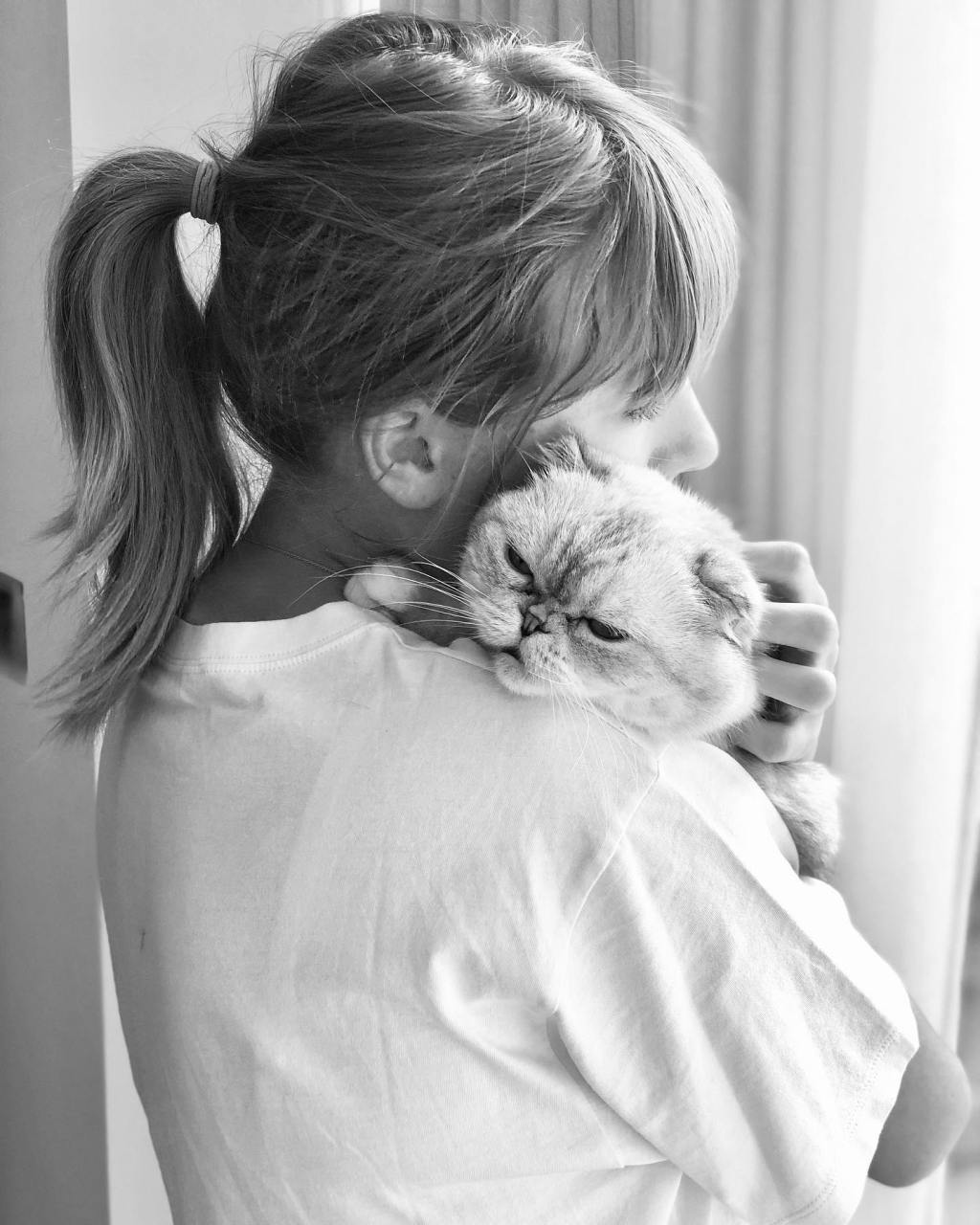 Taylor Swift: Icona di Indipendenza e Amore per i&nbsp;Gatti