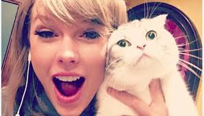 Taylor Swift e il suo gatto